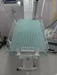 GreenCheck